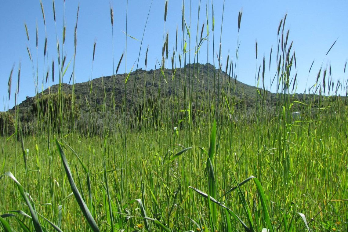 Casas rurales para vacaciones